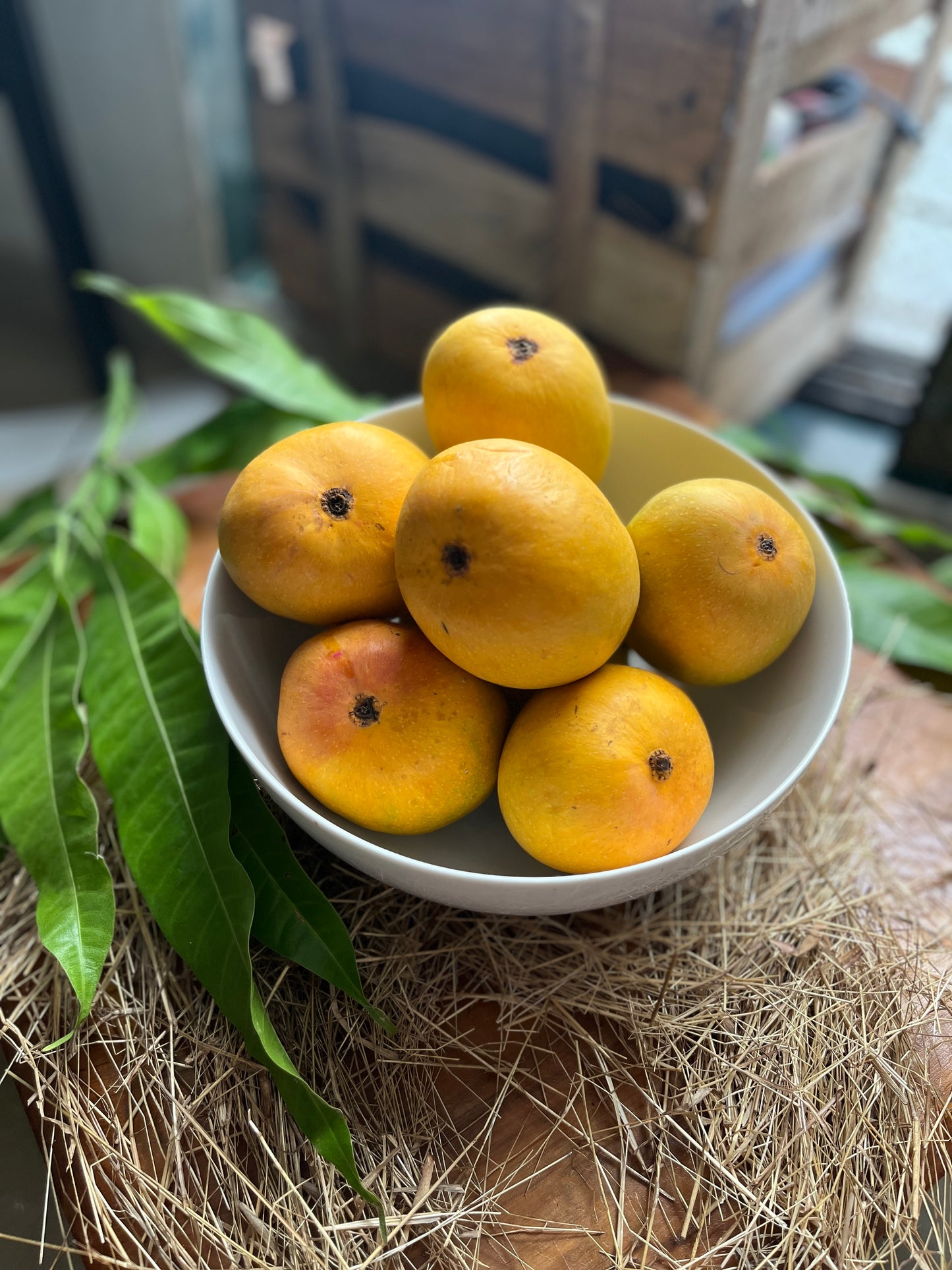 Alphonso Mangoes | Naturally Ripened | No Carbide | No Synthetic Pesticides